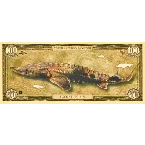 100mg Aurum Rock Sturgeon 24k Gold Foil Note (2)