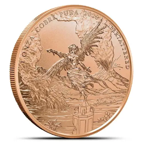 1oz ADVP Zombucks World Libertattered .999 Copper Round  (2)