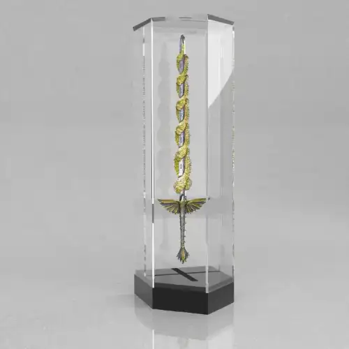 2.5oz South Korea The Sword of St. Michael .999 Silver Gold Gilt Edition (4)
