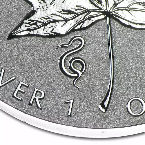 2013 1oz Canadian Reverse Proof .9999 Silver Maple Leaf Lunar Snake Privy Coin (3)