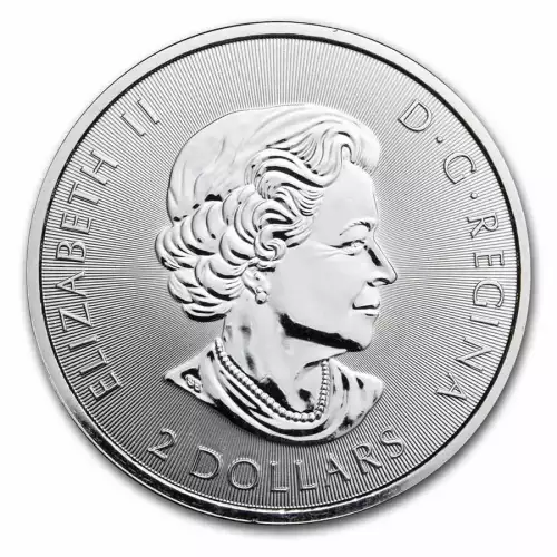 2019 1/2oz Canadian .9999 Silver Polar Bear Coin  (2)
