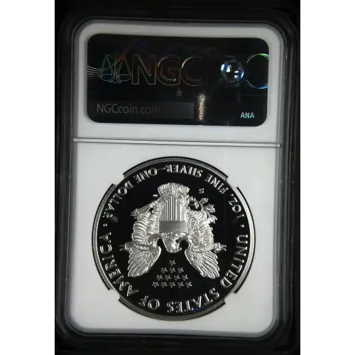 2020 S  ULTRA CAMEO (3)