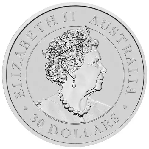 2022 1kg Australian Perth Mint .9999 Silver Koala  (3)