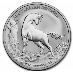 2022 1oz Australia Perth Mint .9999 Silver Brumby Coin