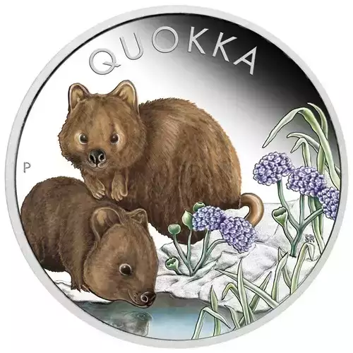 2023 1oz Australia Qyokka .9999 Silver Proof Colorized Coin  (2)