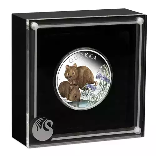 2023 1oz Australia Qyokka .9999 Silver Proof Colorized Coin  (4)