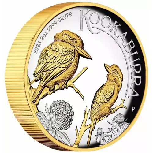 2023 2oz Australian Perth Mint .9999 Silver High Relief Gilded Kookaburra Coin (4)