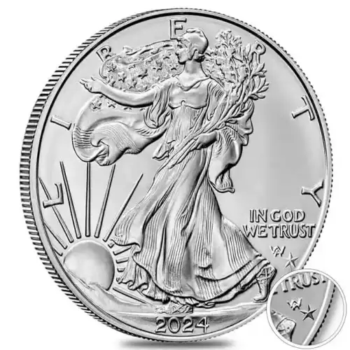 2024 1oz American Silver Eagle Star Privy Silver Coin