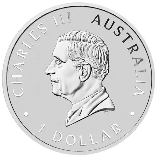 2024 1oz Australia Perth Mint .9999 Silver Koala Coin (2)