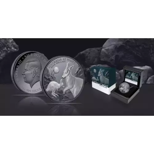2024 1oz Niue Australia at Night Rock Wallaby .999 Silver Coin (5)
