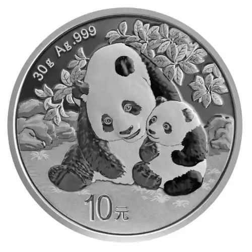 2024 30g Chinese Silver Panda [DUPLICATE for #545496]