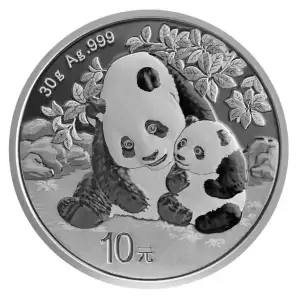 2024 30g Chinese Silver Panda [DUPLICATE for #545496]