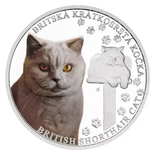 2024 Niue Cat Breeds British Short Hair Proof 1oz Silver Coin (2)