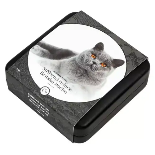 2024 Niue Cat Breeds British Short Hair Proof 1oz Silver Coin (3)