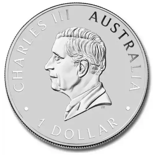 2025 1oz Australia Perth Mint Koala .9999 Silver Coin (2)