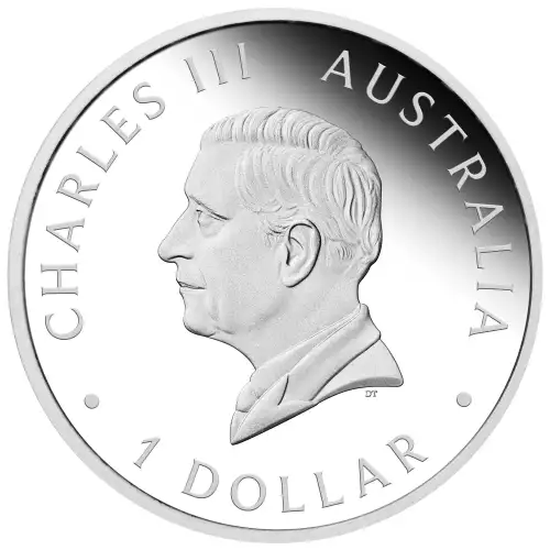 2025 1oz Australia Perth Money Expo ANDA Special Swan .9999 Silver Proof Coin  (3)
