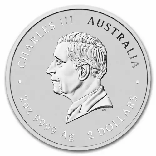 2025 2oz Australia Perth Mint Lunar Series III: Year of the Snake Colorized .9999 Silver Coin (2)