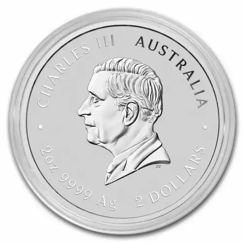 2025 2oz Australia Perth Mint Lunar Series III: Year of the Snake Colorized .9999 Silver Coin (3)