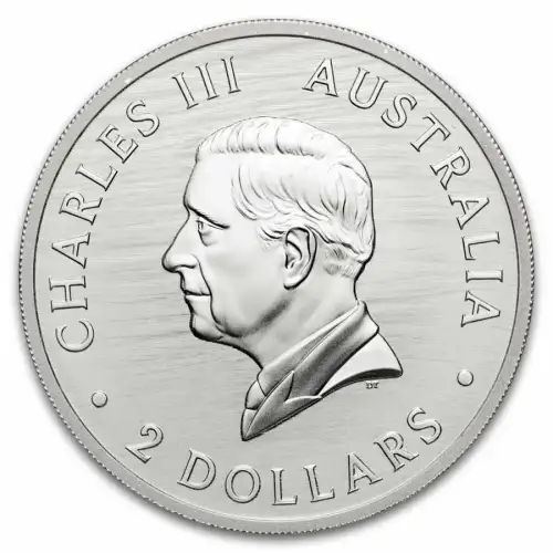 2025 2oz Australia Perth Mint Southern Right Whale .9999 Silver Coin