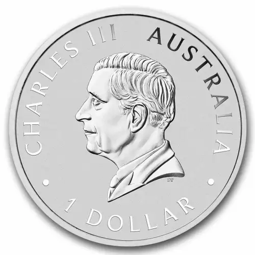 2026 1oz Australian Perth Mint Silver Kookaburra (2)