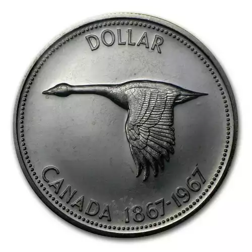 80% Canadian Silver Dollars (Random Design) (2)