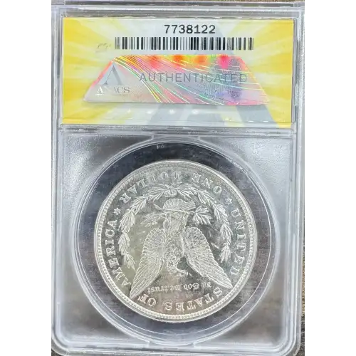 Morgan Silver Dollar (2)