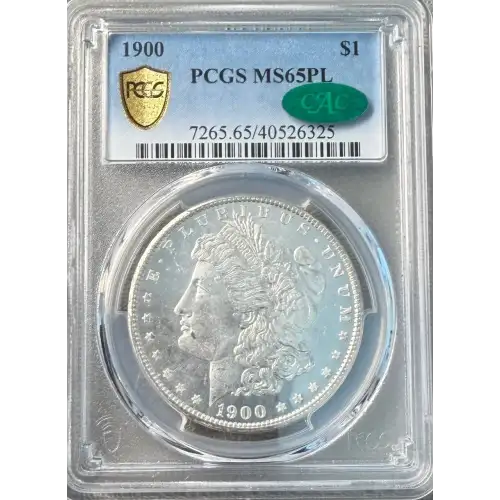 Morgan Silver Dollar