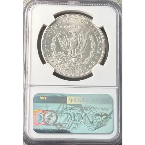 Morgan Silver Dollar