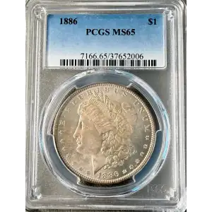 Morgan Silver Dollar